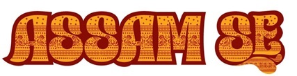 Assam Se Device mark 7727078 Trademark