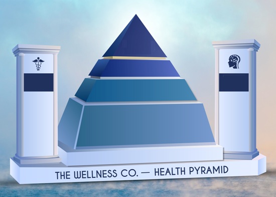 The Wellness Co.- Health Pyramid With Device Device mark 7764465 Trademark