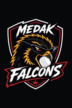 Medak Falcons Device mark 7768110 Trademark