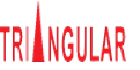 Triangular Device mark 7801505 Trademark