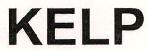Kelp Device mark 2528752 Trademark