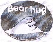 Bear Hug Device mark 7833923 Trademark