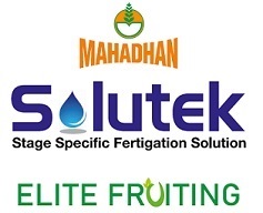 Mahadhan Solutek Elite Fruiting Device mark 7889615 Trademark