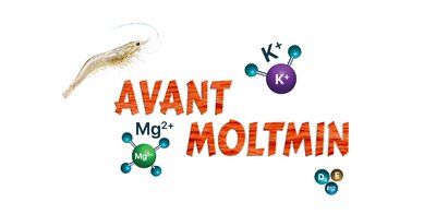 Avant Moltmin (device Mark) Device mark 7890678 Trademark
