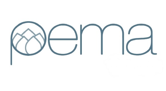 Pema Device mark 7925497 Trademark