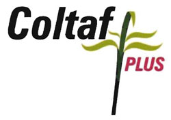 Coltaf Plus Device mark 2797453 Trademark