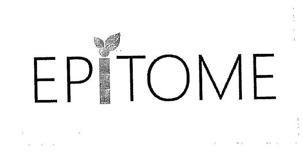 Epitome Device mark 2504203 Trademark