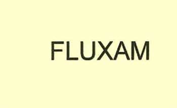 Fluxam Device mark 2412916 Trademark