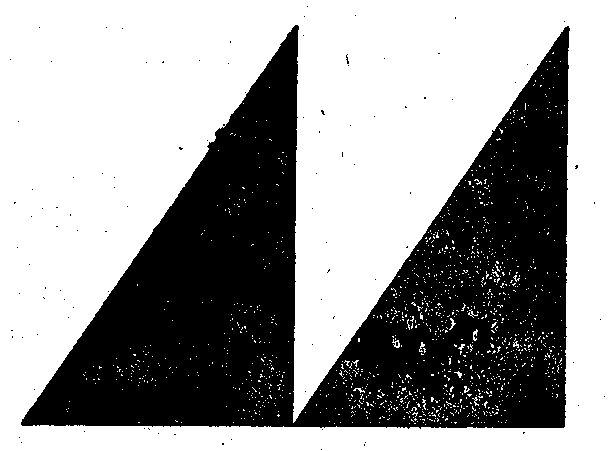 "wyeth 2- Triangle Device" Device mark 297887 Trademark