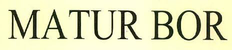 Matur Bor Device mark 2955971 Trademark