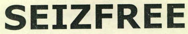 Seizfree Device mark 2608321 Trademark