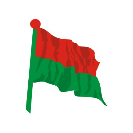Flag Device mark 2602411 Trademark