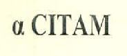 A Citam Device mark 2817124 Trademark