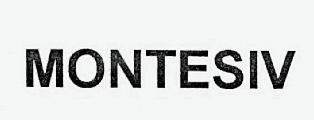 Montesiv Device mark 2462734 Trademark
