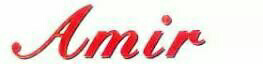 Amir Device mark 2970920 Trademark
