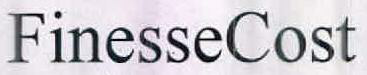 Finessecost Device mark 2496867 Trademark