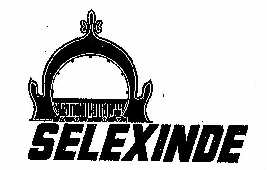 Selexinde Device mark 231108 Trademark
