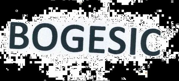 Bogesic Device mark 2181812 Trademark