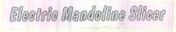 Electric Mandoline Slicer Device mark 2540284 Trademark