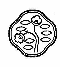 Block Device mark 278884 Trademark