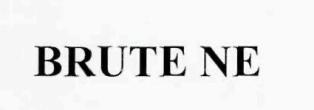 Brute Ne Device mark 2765719 Trademark
