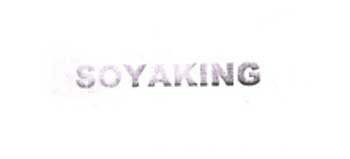 Soyaking Device mark 2022214 Trademark