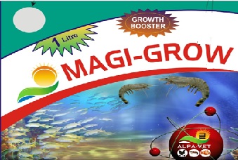 Magi-grow Device mark 2843923 Trademark