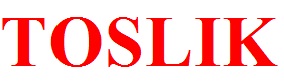 Toslik Device mark 2859438 Trademark