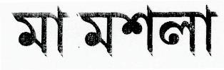 Maa Masala (label) Device mark 2257969 Trademark