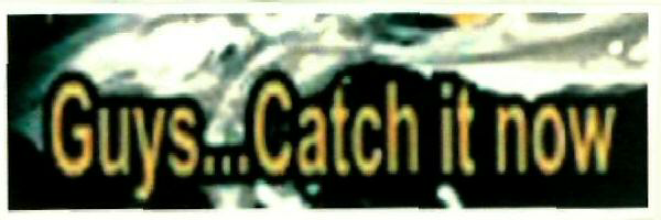 Guys Catch It Now (label) Device mark 2490682 Trademark
