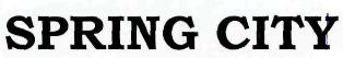 Spring City Device mark 2361597 Trademark