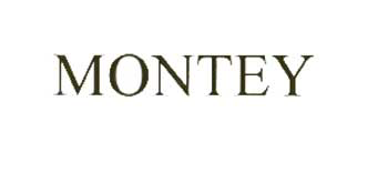 Montey Device mark 2025265 Trademark