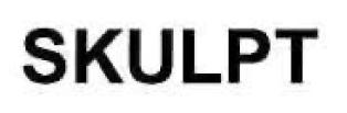 Skulpt Device mark 2819115 Trademark