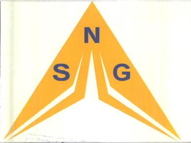 Nsg Device mark 2579606 Trademark