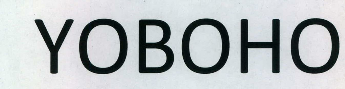 Yoboho Device mark 2299222 Trademark