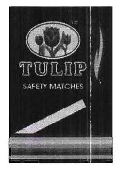 Tulip With Device Of Flower Device mark 2824288 Trademark