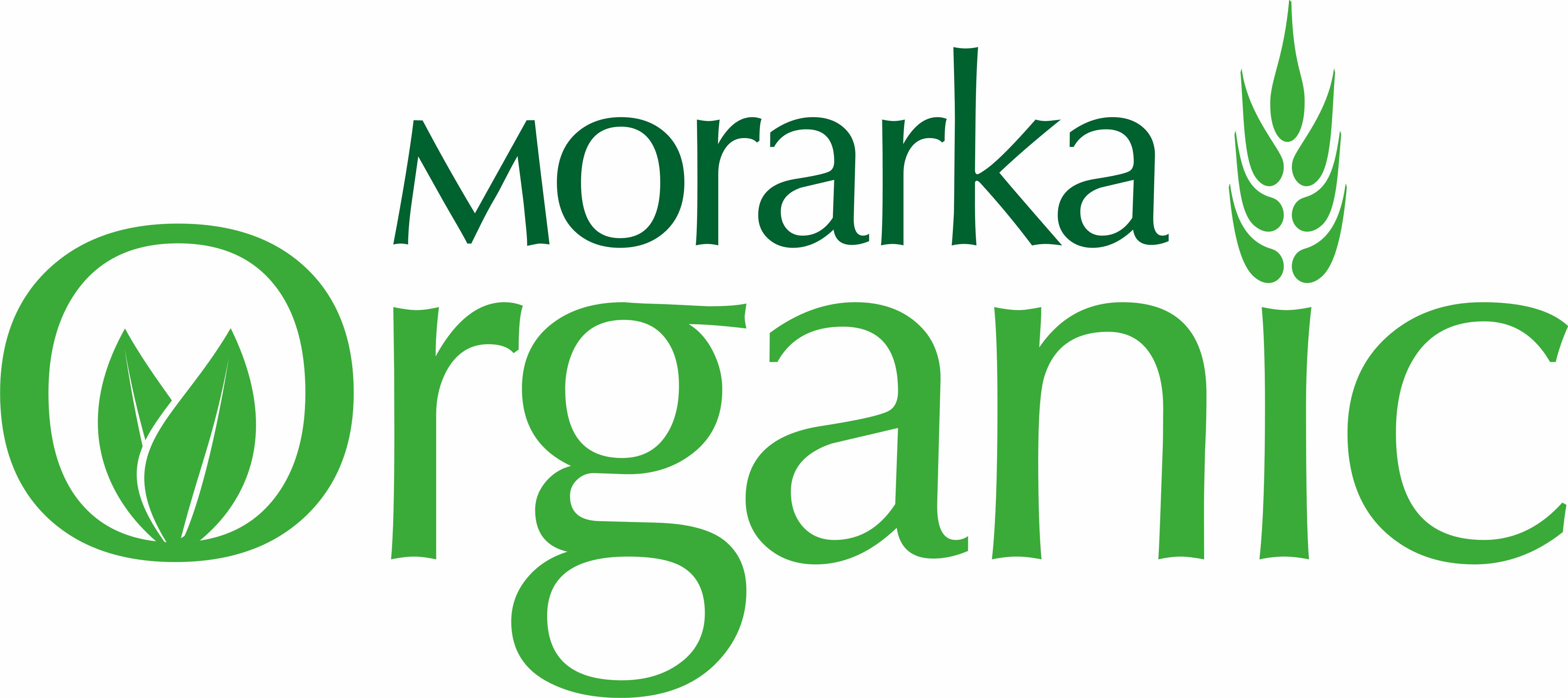 Morarka Organic Device mark 2593199 Trademark