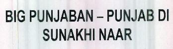 Big Punjaban - Punjab Di Sunakhi Naar Device mark 2412979 Trademark