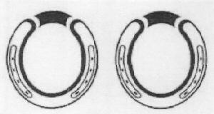 Device Device mark 2988173 Trademark