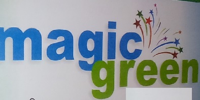 Magicgreen Device mark 2953214 Trademark