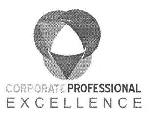 Corporate Professional E X C E L L E N C E Device mark 2025208 Trademark