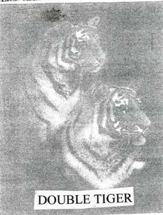 Double Tiger Device mark 2008706 Trademark