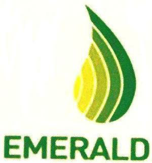 Emerald Device mark 2416664 Trademark