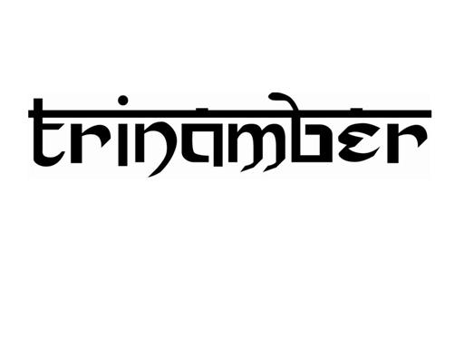Trinamber (stylised) Device mark 2435684 Trademark