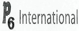 P6 International Device mark 2537533 Trademark
