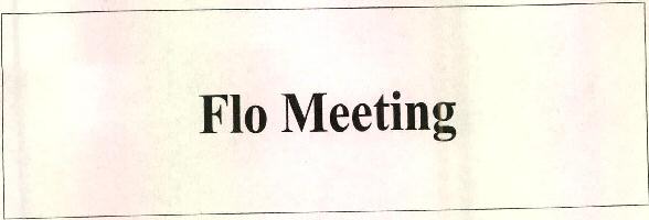 Flo Meeting Device mark 2598754 Trademark