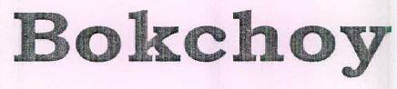 Bokchoy Device mark 2792186 Trademark