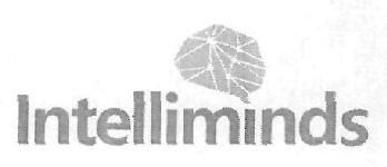 Intelliminds Device mark 2905928 Trademark