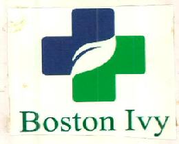 Boston Ivy Device mark 2754517 Trademark