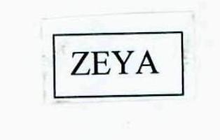 Zeya Device mark 2865845 Trademark